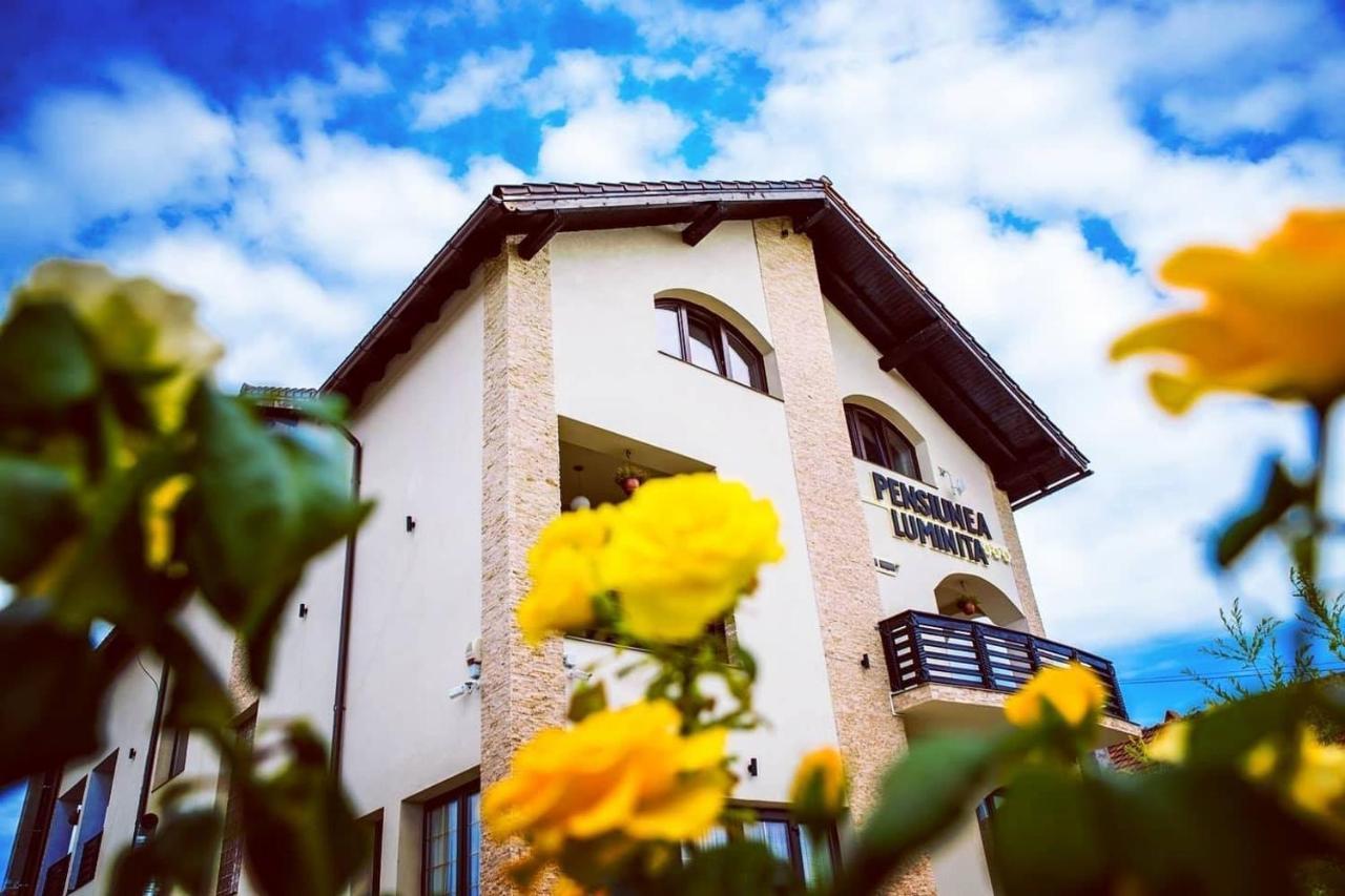 Pensiunea Luminita Târgu Jiu Exteriér fotografie